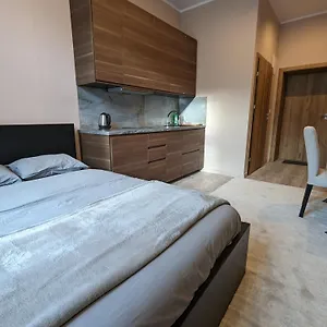 A1 In Downtown Of Apartament Kraków